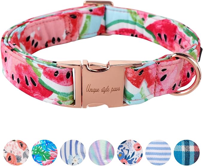 Unique Style Paws Watermelon Collar - Metal Buckle, Durable & Cute for Small, Medium & Large Dogs