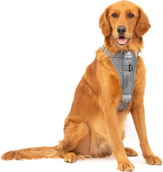 Kurgo Enhanced Strength Tru-Fit Dog Car Harness - Pet Travel Safety Harness - Crash Test Certified Fit - Five Point Adjustment - Secure Buckle - Padded Chest - Charcoal - Large