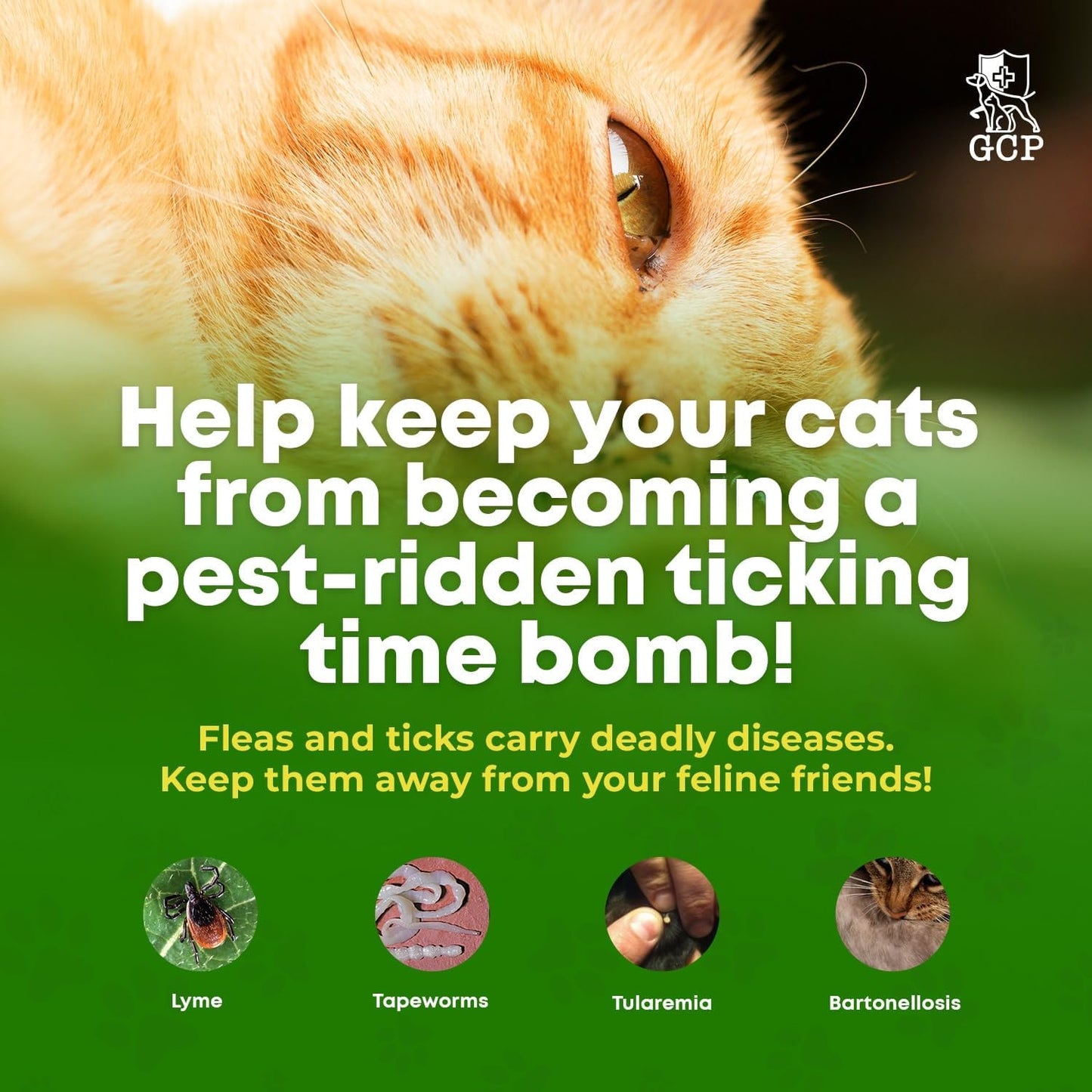 Guardian's Choice Flea and Tick Chewable Treats for Cats – No Harsh Chemicals – 100 Chicken-Flavored Chews Pets