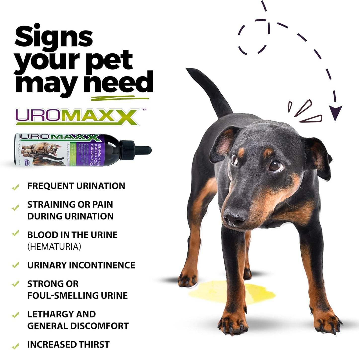 Cat & Dog Urinary Tract Treatment, Bladder & Kidney Support for Dogs and Cats, Powerful Yet Gentle Pet Care, with Liquid Cranberry & Glucosamine, Chicken Flavor, 6 oz Bottle, 1 Pack