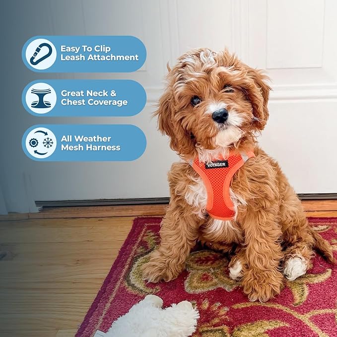 Voyager Step-in Air All Weather Mesh Harness and Reflective Dog 5 ft Leash Combo with Neoprene Handle, for Small, Medium and Large Breed Puppies by Best Pet Supplies - Set (Orange), S