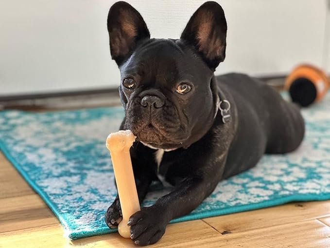 Nylabone Power Chew Original Bone - Durable & Tough Chew Toys for Aggressive Chewers - Durable Dog Toy for Medium Breeds - Original Flavor, Medium, Up to 35 Ibs. (1 Count)