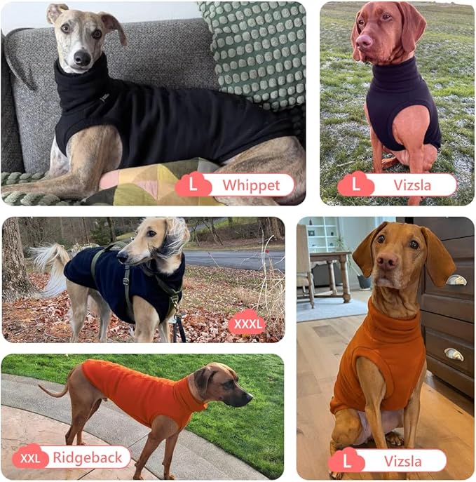 Sweatshirt for Vizsla/Weimaraner/Poodle/Dalmatian/German Dog, Reflective Sleeveless Warm Cotton Clothes for Big Dogs (Black, XX-Large(Chest 29'', Back 24.5''))