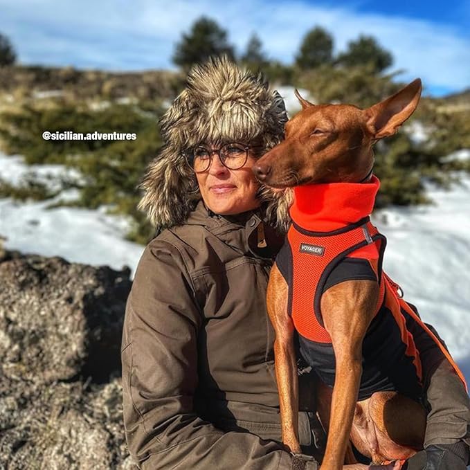 Voyager Step-in Air All Weather Mesh Harness and Reflective Dog 5 ft Leash Combo with Neoprene Handle, for Small, Medium and Large Breed Puppies by Best Pet Supplies - Orange/Black Trim, X-Small