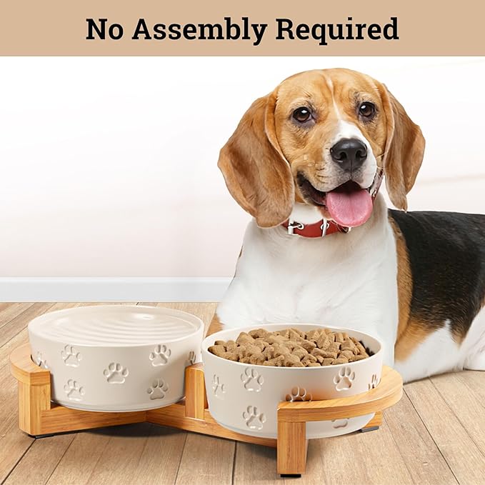 Ceramic Dog Bowls with Stand - Medium Dog Bowl Set with Stand Non-Slip - 2 Ceramic Dishes with Anti-Skid Bamboo Stand for Medium Dogs - Elevated Dog Bowls Set of 2 - Raised Pet Feeding Station
