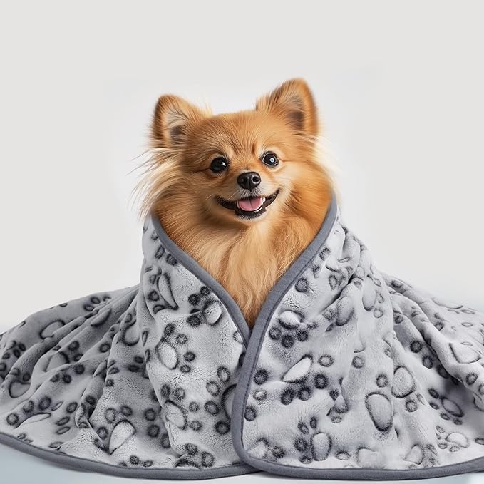 Luciphia Premium Soft Dog Blanket for Small Medium Large Dogs Washable 300GSM Fluffy Warm Fleece Puppy Cat Paw Print Pet Flannel Grey Paw M(30"x20")