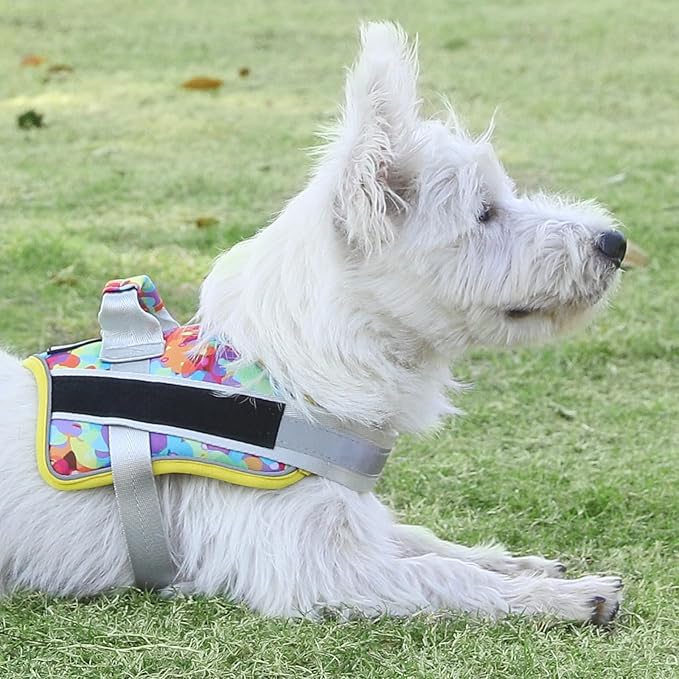 Bolux Dog Harness, No-Pull Reflective Dog Vest, Breathable Adjustable Pet Harness with Handle for Outdoor Walking - No More Pulling, Tugging or Choking (Medium (Pack of 1), Watercolour)