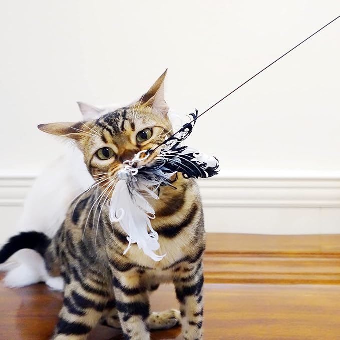 TTcat Cat Wand Toys,Interactive Bird Toy Set,35'' Flexible Steel Wire and 4Pcs Feather Refills,Teaser Toys for Indoor Cat and Kitten.