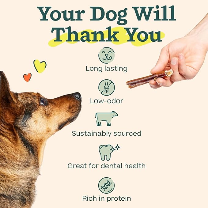 WOOF Bully Sticks Dog Treats - Chew Sticks for Dogs - Long-Lasting Dog Chew Treats - Made with Free-Range, Grass-Fed Beef - 12" Sticks - 5pk
