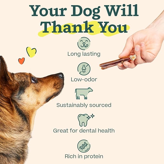 WOOF Bully Sticks Dog Treats - Chew Sticks for Dogs - Long-Lasting Dog Chew Treats - Made with Free-Range, Grass-Fed Beef - 6" Sticks - 5pk