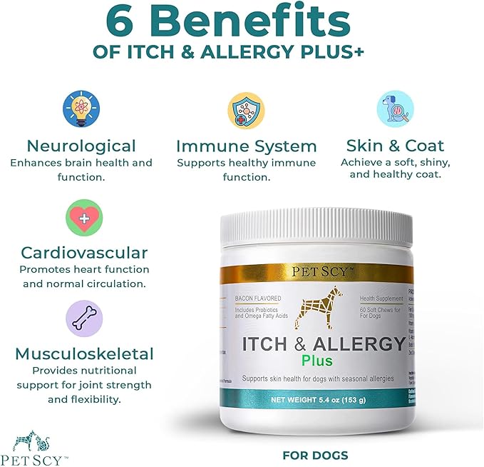 PetScy Itch & Allergy Plus Chews for Dogs Itchy Skin, Ears & Paws | Probiotics, Moringa & Turmeric | Dog Allergy Relief for Skin Redness, Hair Loss Gut & Digestive Health - Bacon Flavor - 60 Chews