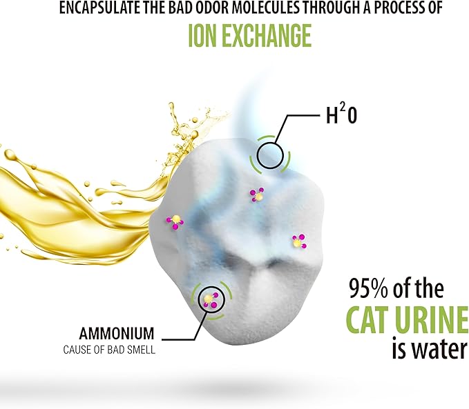 Skoon All Natural Cat Litter + Pooper Skooper - Original - Lightweight, Low Tracking, Non-Clumping Diatom Pebbles Absorb, Lock, and Seal Waste for Best Odor Control