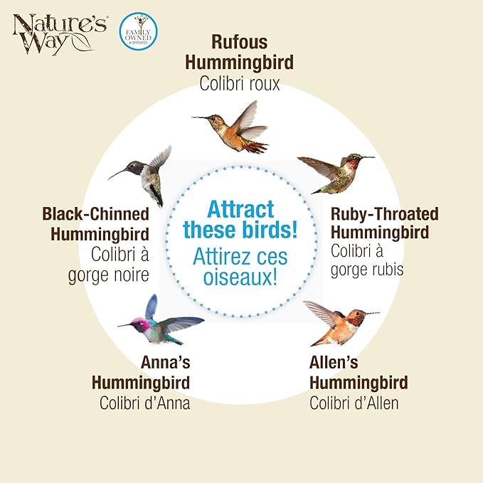 Nature's Way Hanging Glass Hummingbird Feeder for Outdoor Decor, 29 Ounce Capacity Nectar Feeder, 4 Easy to Clean Flexible Ports, Purple Lilac