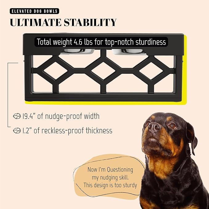 AVERYDAY Large Dog Bowls Elevated, 4 Height Adjustable Raised Dog Bowl Stand with 2 Stainless Steel Food and Water Bowls Set, Tall Dogs Feeding Station with Anti-Slip Base for Medium Large Breeds Dogs