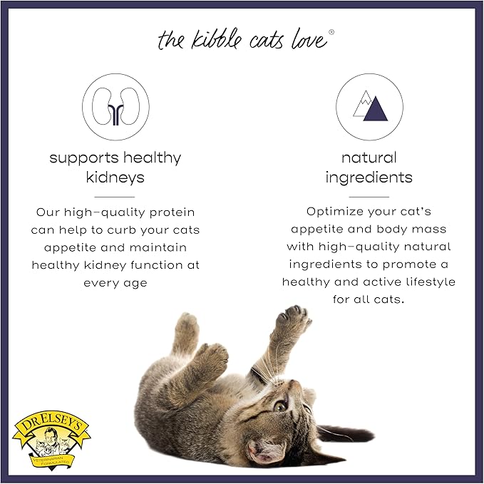 Dr. Elsey's cleanprotein Protein Bites Chicken 12 oz..