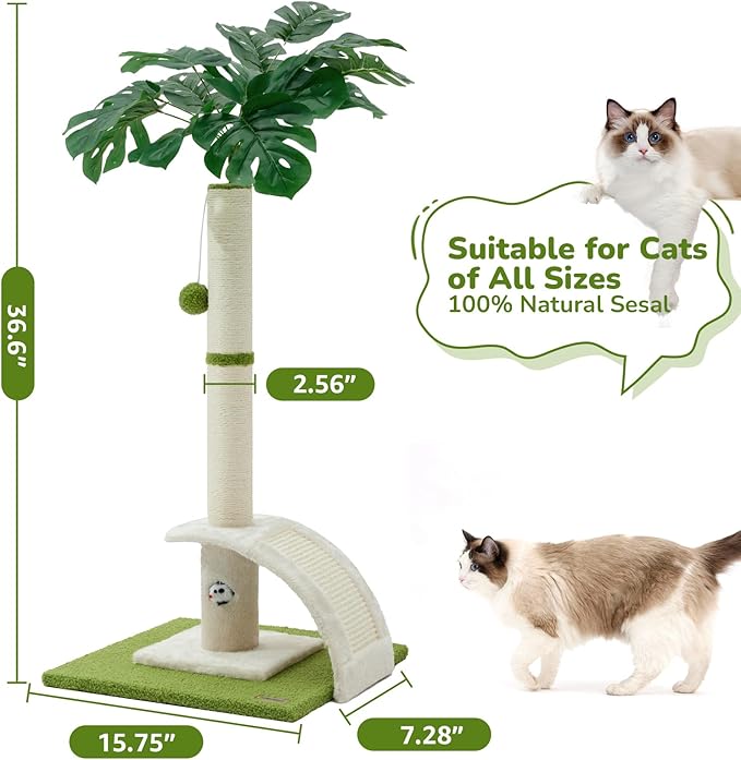 Cat Scratching Post, 35" Tall Cat Scratcher Kitten Scratch Post with Sisal Rope for Indoor Cats Claw Scratcher, Cat Tree with Dangling Ball for Kitties and Cats