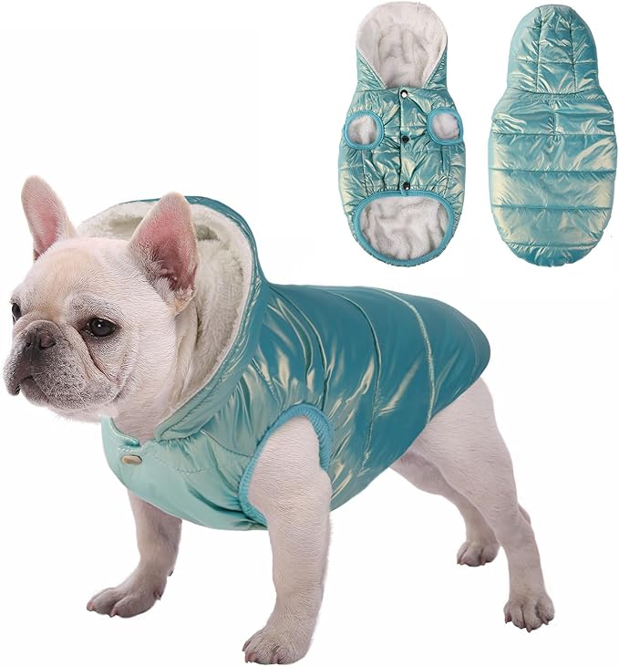 Dog Fleece Hoodie, Windproof Waterproof Dog Coat Fleece & Cotton Lined Warm Jacket, Cold Weather Pet Apparel Clothes Vest for Dogs (L,Mintgreen)