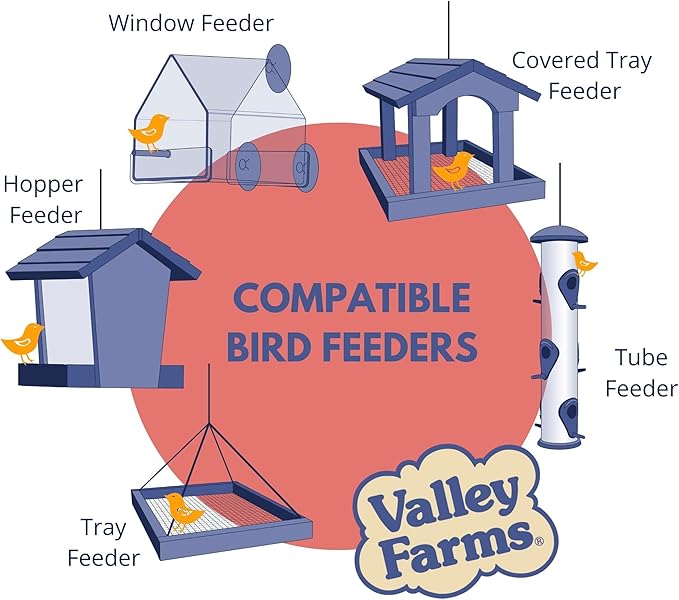 Valley Farms Deluxe Blend 4 LB 2-Pack (8 LBS Total) Wild Bird Food for Outside Feeders with Black Oil Sunflower Seed and Safflower Seed for Birds - A Select Birdseed