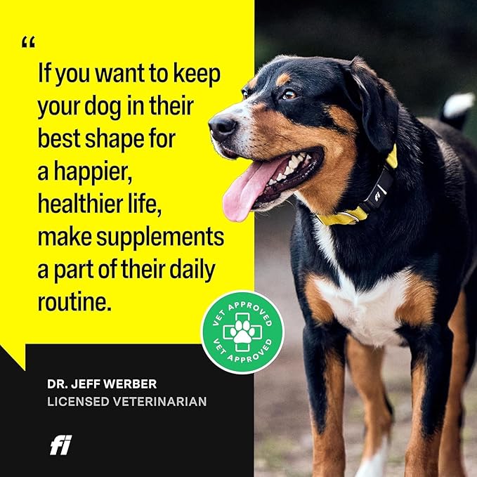 Fi 8-in-1 Dog Supplement Powder | Health Support for Bone, Skin, Digestion, Immunity & Joint Supplement for Dogs | Vet-Formulated for Puppies, Adults and Seniors | 90 Scoops