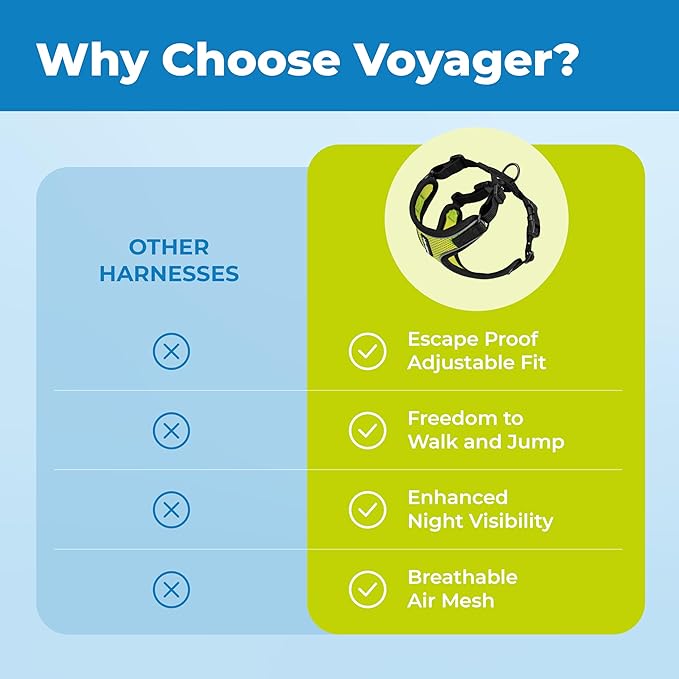 Voyager Escape Proof Cat Harness and Leash Set with Reflective Stitching, Neoprene Handle 5ft - Supports Small, Medium and Large Cats, Kittens for Walking by Best Pet Supplies - Black Trim-Lime, XXXS