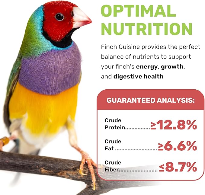 Finch Cuisine 20 lbs, Finch Food, Nutrient-Rich Blend Bird Seed, Birdseed for Finches and Small Birds, Support Daily Energy, Growth & Healthy Balanced Diet, No Mess Bird Seed