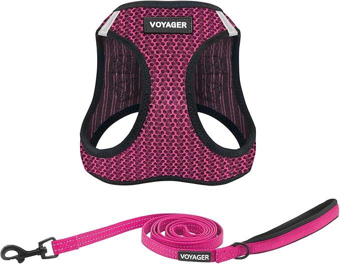 Voyager Step-in Air All Weather Mesh Harness and Reflective Dog 5 ft Leash Combo with Neoprene Handle, for Small, Medium and Large Breed Puppies by Best Pet Supplies - Fuchsia (2-Tone), XS