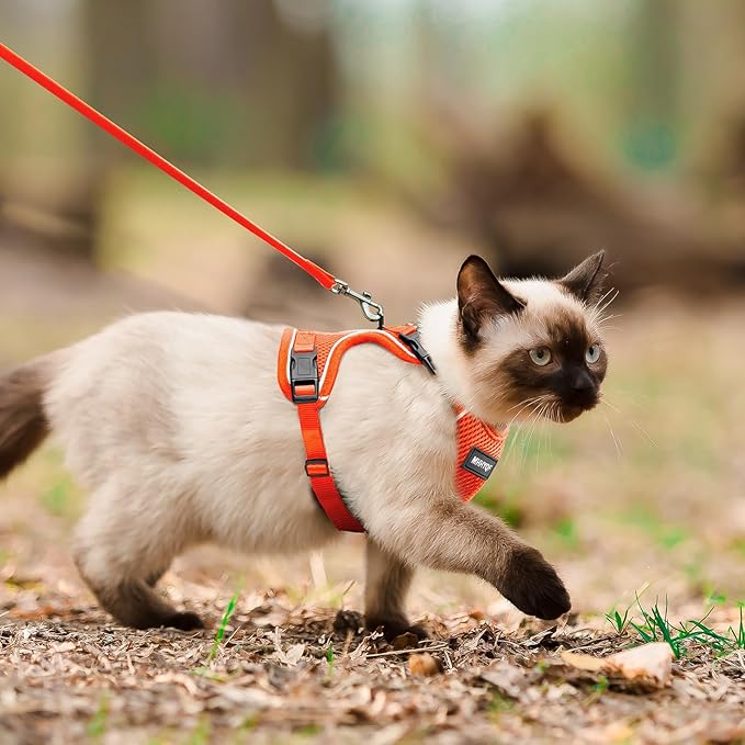 Cat Harness and Leash for Walking Escape Proof Soft Adjustable Cat Leash Breathable Comfortable Vest Easy to Wear Kitten Harness for Outdoor Travel, Orange, M
