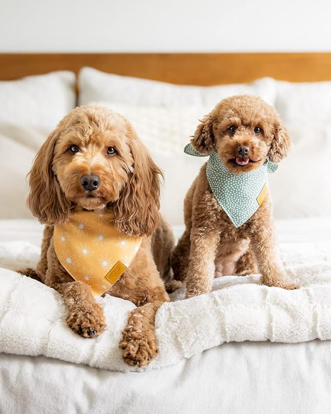 Remy+Roo Large Spring Dog Bandanas - 4 Pack Katherine Set | Premium Durable Adjustable Polyester Fabric Dog Scarfs | Patented Shape Girl Dog Bandana, Trendy Pattrens, Floral Dog Bandana