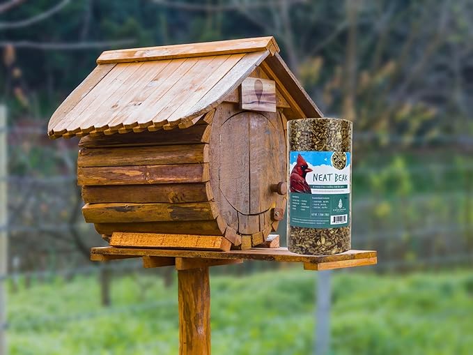 Birdseed Cylinders with Hole - Bird Seed for Outside Wild Birds (Small Cylinder, Neat Beak 2pc)
