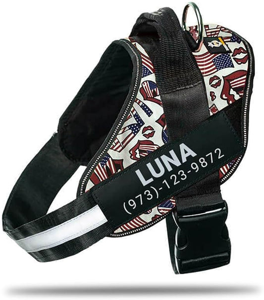 Personalized No-Pull Dog Harness with Name Patch, Adjustable, Reflective, Padded, Heavy Duty Pet Vest to Prevent Tugging, Pulling, or Choking, Training and Walking, USA, XS