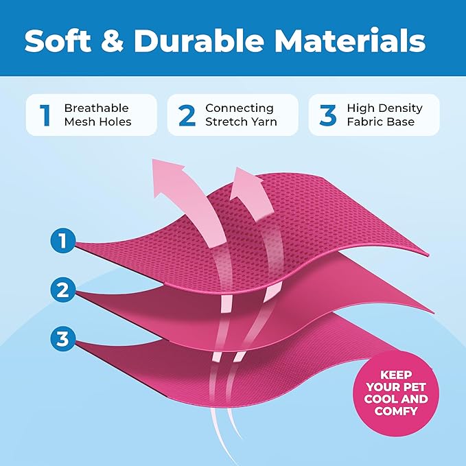 Voyager Escape Proof Cat Harness and Leash Set with Reflective Stitching, Neoprene Handle 5ft - Supports Small, Medium and Large Cats, Kittens for Walking by Best Pet Supplies - Fuchsia, XXS