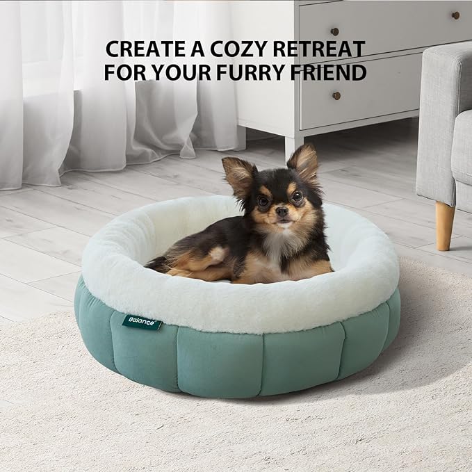 BALANCE Cat Beds for Indoor Cats, Washable Round Cat Bed, Cute Kitten Bed with Anti-Slip Bottom for Kitty and Puppy, 18 Inches, Granite Green