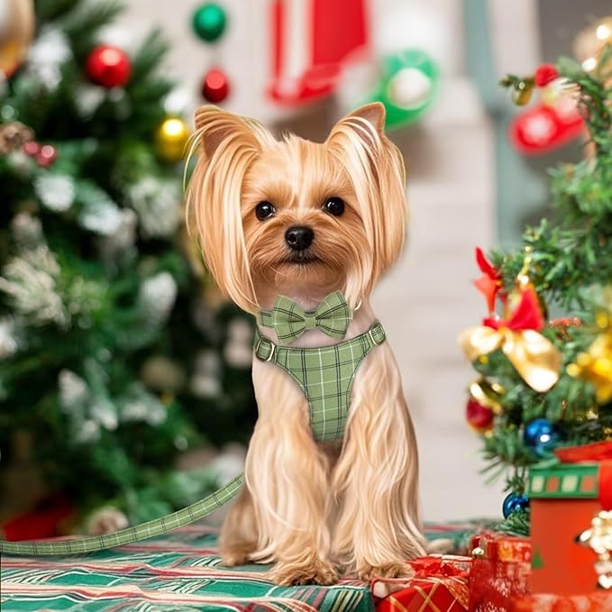 Beirui Cute Extra Small Dog Harness Collar and Leash Set with Bowtie, Soft Adjustable Plaid Puppy Harness for Small Sized Dogs Cats Walks Parties and Photoshoots(Green,XXS:Chest 12-14")