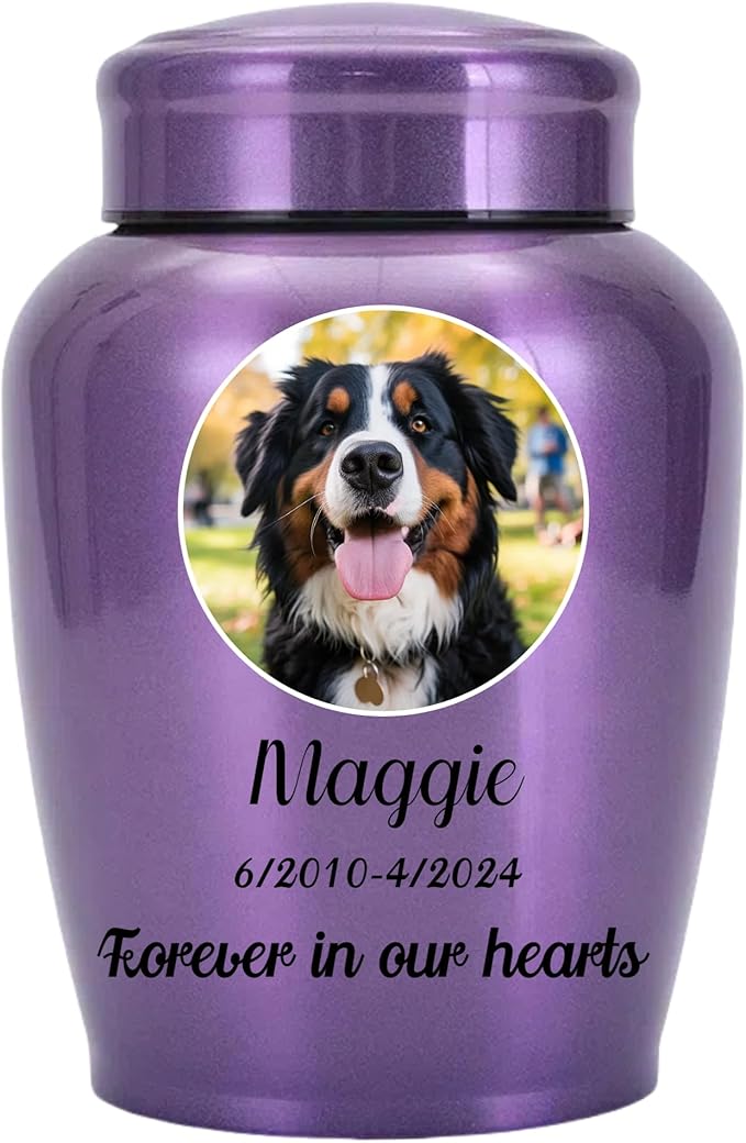 Personalized Cremation Urns for Pet Ashes, Custom Pet Name and Photo for Memorials Urns, 8.6 Inches Large Pet Urns for Dogs and Cats Ashes (Round)