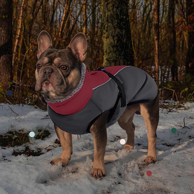 IECOii Extra Warm Dog Coat for Medium Dogs, Waterproof & Windproof Dog Jackets with Leash Hole, Adjustable Turtleneck Dog Winter Coat Reflectvie Pet Fleece Vest for Cold Weather, Burgundy, M