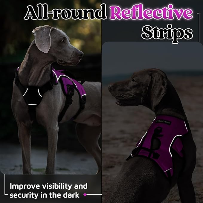 rabbitgoo Escape Proof Dog Harness, Soft Padded Full Body Pet Harness, Reflective Adjustable No Pull Vest with Lift Handle and Leash Clip for Large Dogs Walking Hiking Training, M, Purple