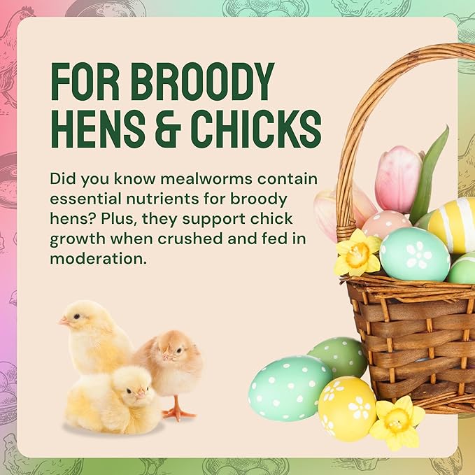 Dried Mealworm Bird Food - 20 Lb Bulk Pack - High Protein Poultry & Chicken Feed - Duck Food & Wild Bird Feed & Quail Treats