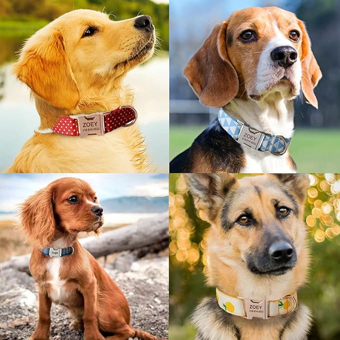 Custom Dog Collar with Names and Phone Number Engraved, Puppy Tags Personalized for Small Medium Large Pets