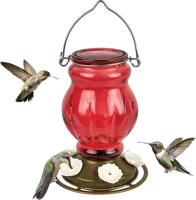 Nature's Way Hanging Glass Hummingbird Feeder for Outdoor Decor, 25 Ounce Capacity Nectar Feeder, 5 Easy to Clean Flexible Ports, Red