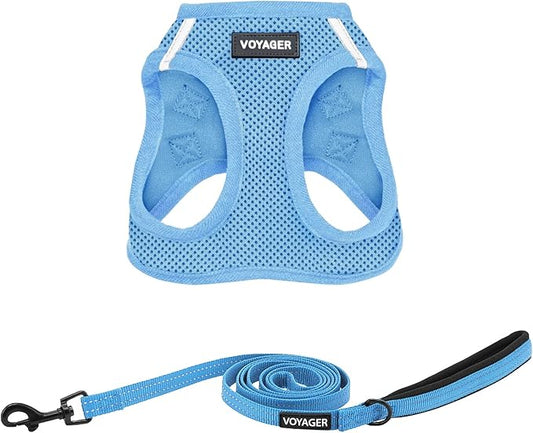 Voyager Step-in Air All Weather Mesh Harness and Reflective Dog 5 ft Leash Combo with Neoprene Handle, for Small, Medium and Large Breed Puppies by Best Pet Supplies - Set (Baby Blue), S