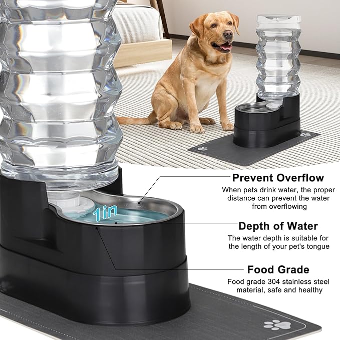 RIZZARI Large Water Dispenser for Dogs: 9L Black Automatic Stainless Steel Gravity Raised Pet Feeder for 30-60 LBS Elderly Pet Dogs with Spine Problems in Living Room Garage