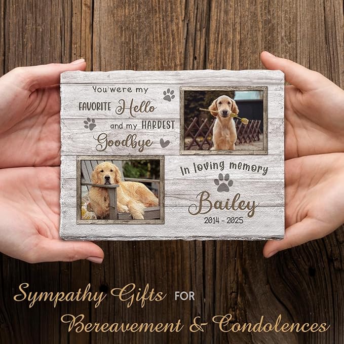 Multicolored Pet Memorial Stones for Dogs Personalized - 'You were My Favorite Hello and My Hardest Goodbye' - Unique Photo Frame Gifts for Cat Dog Lover, Garden Decor for Cemetery