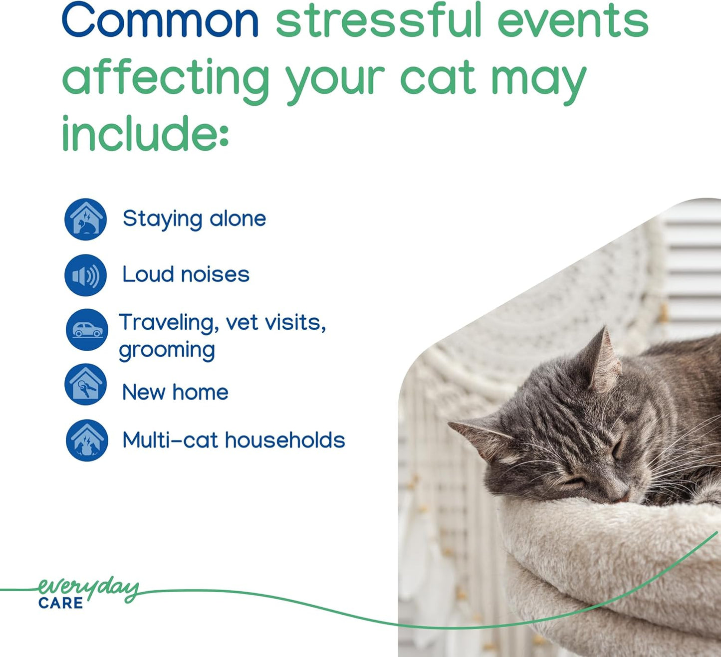 Virbac Zenifel Gel Diffuser for Managing Stress-Related Behaviors in Kittens & Cats - No Electricity Needed - Lasts Up to 2 Months - 1 Diffuser