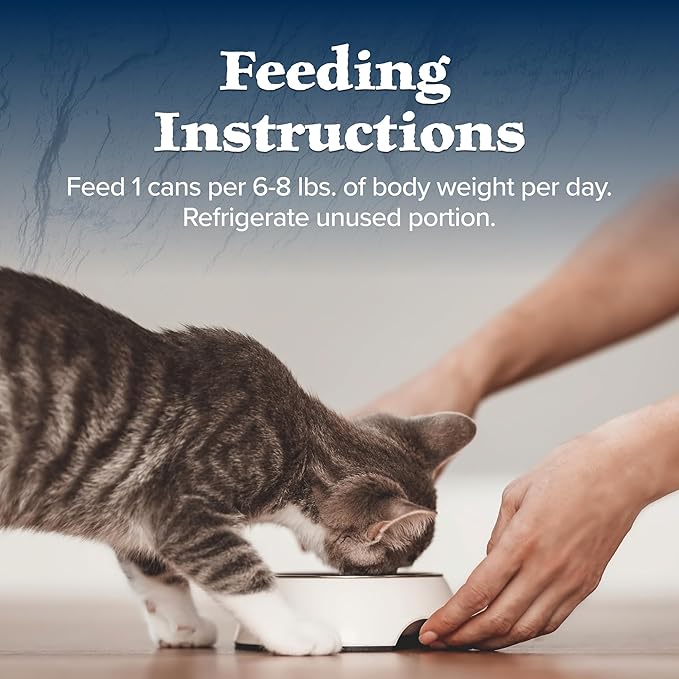 Blue Buffalo Wilderness Flaked Chicken & Trout Adult Wet Cat Food, 5.5 oz., Case of 24