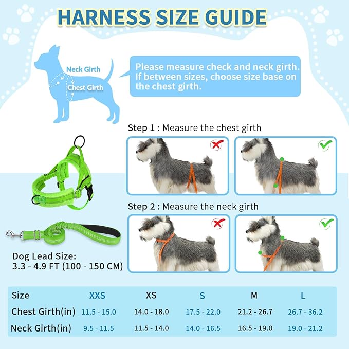 SlowTon No Pull Small Dog Harness and Leash Set, Puppy Soft Vest Harness Neck & Chest Adjustable, Reflective Lightweight Harness & Anti-Twist Pet Lead Combo for Small Medium Dogs (G-Front Clip,XXS)