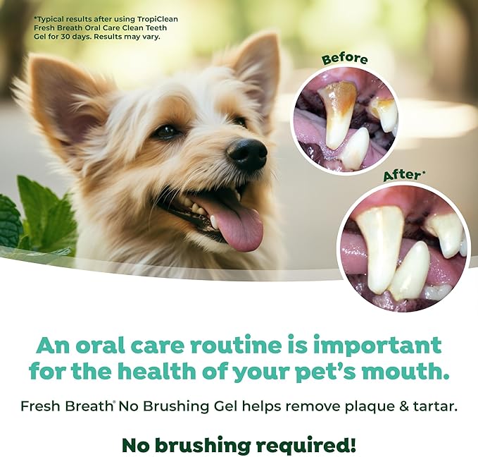 TropiClean Fresh Breath Dog Toothpaste for Teeth Cleaning, Breath Freshener, Easy Plaque & Tartar Remover Gel, No Toothbrush Needed, Peanut Butter, 4oz.