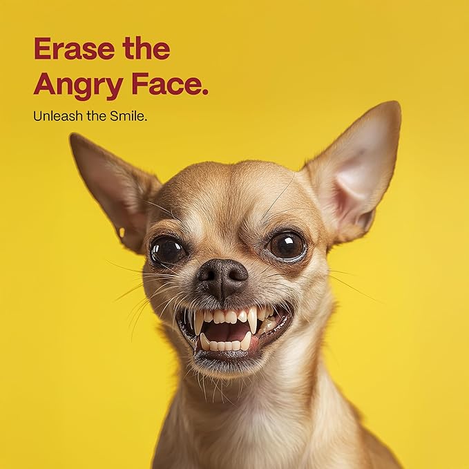 DOCO Dog Teeth Cleaning Wipes - Dog Tooth Brushing Kit, Remove Plaque & Tartar, Dental Freshen Breath, Easy Pet Tooth Cleaning Kit for Oral Care, Ideal for Cat Owners - Chicken Flavor, 100 ct.