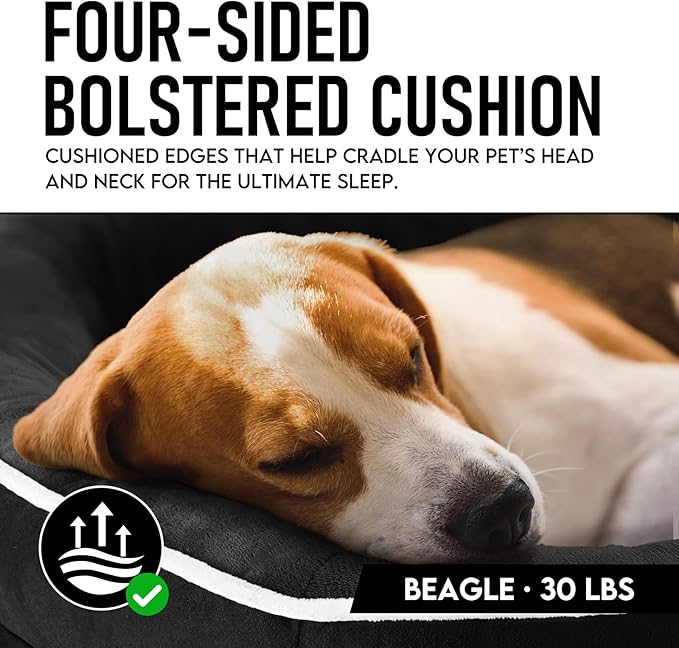 OhGeni Orthopedic Dog Couch Pet Sofa Large Sized Cat Beds with Comfort Foam Support, Soft Comfortable Fabric, Machine Washable Waterproof Removable Cover, 35-Inch (Black)