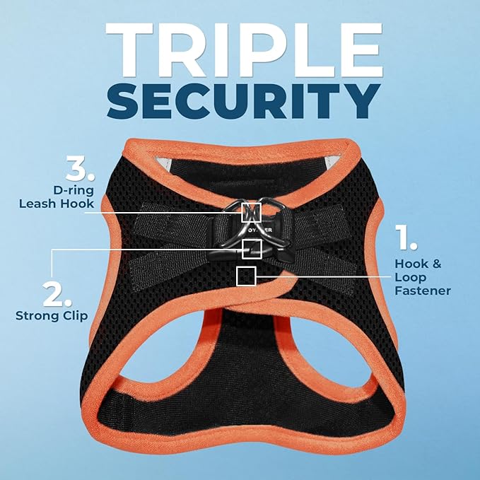 Voyager Step-in Air All Weather Mesh Harness and Reflective Dog 5 ft Leash Combo with Neoprene Handle, for Small, Medium and Large Breed Puppies by Best Pet Supplies - Black/Orange Trim, Large