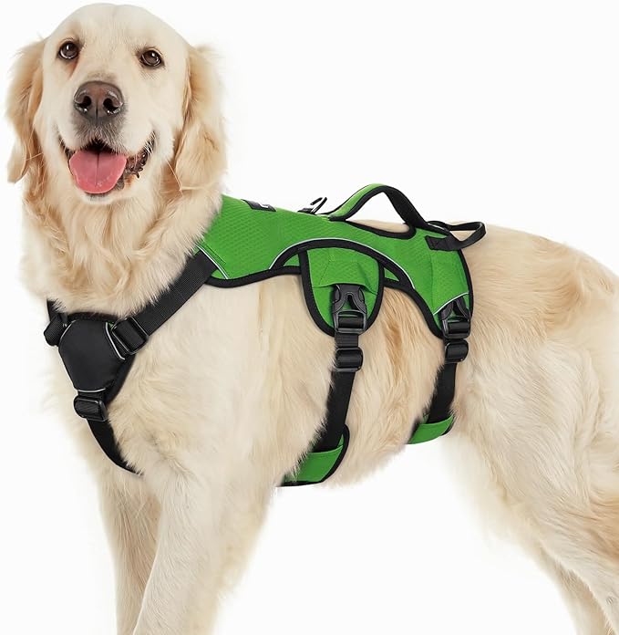 rabbitgoo Escape Proof Dog Harness, Soft Padded Full Body Pet Harness, Reflective Adjustable No Pull Vest with Lift Handle and Lesh Clip for Large Dogs Walking Hiking Training, L, Green